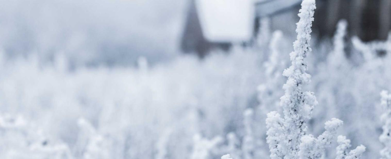 ucloud实名账号：港股开户滴滴平台