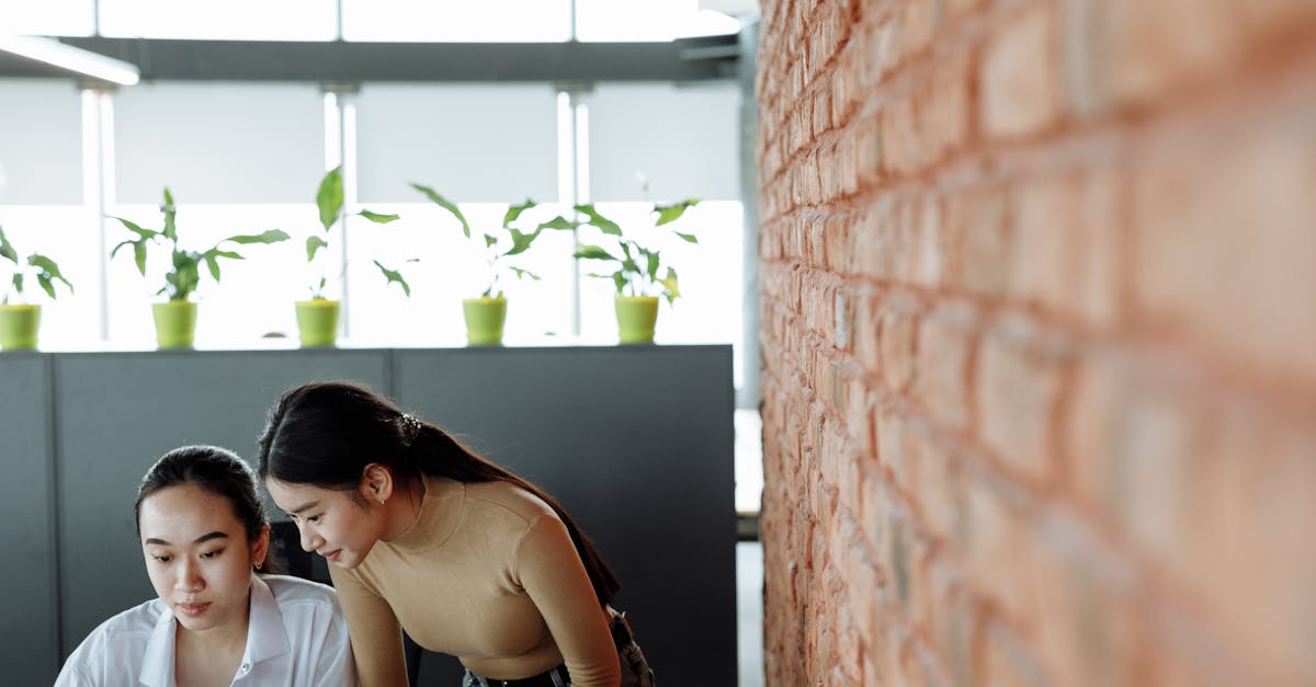 中免肯特薄荷蓝冰爆珠（5mg）：宁波证券公司注册代理业务